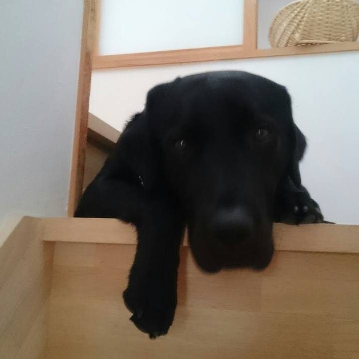 A145c8b5 bf51 46f0 a29c 022a63c22c40