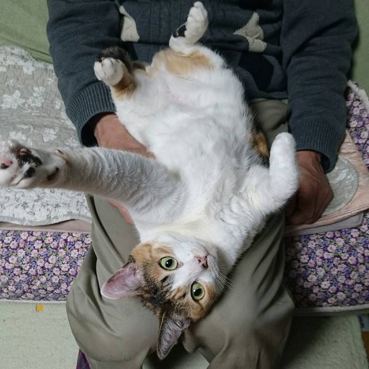 A145e6c1 e62a 4a43 aa5f 6578c19f7dee