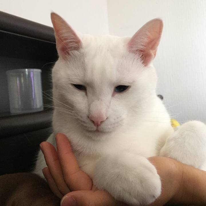 A1460a4a 9128 4e5e 8a9b f9ce8441b05d