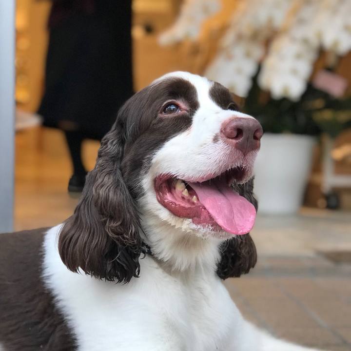 A1462cca d57f 41a3 92b5 17395b723500