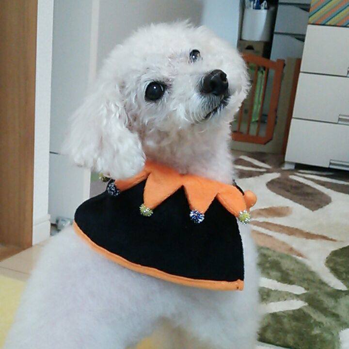 A14641e1 458d 4bcc aa36 a6355d791a94