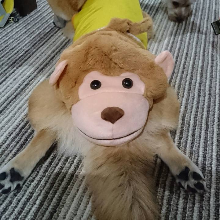 A1466060 8792 404c 9d30 85269000258c