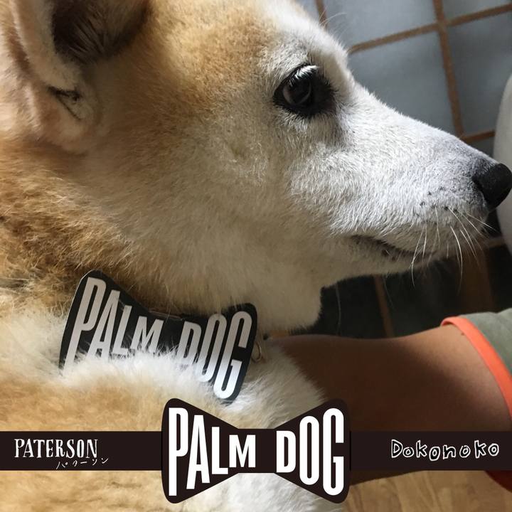 A1470259 883d 4000 ba34 4a7a0bc8a716