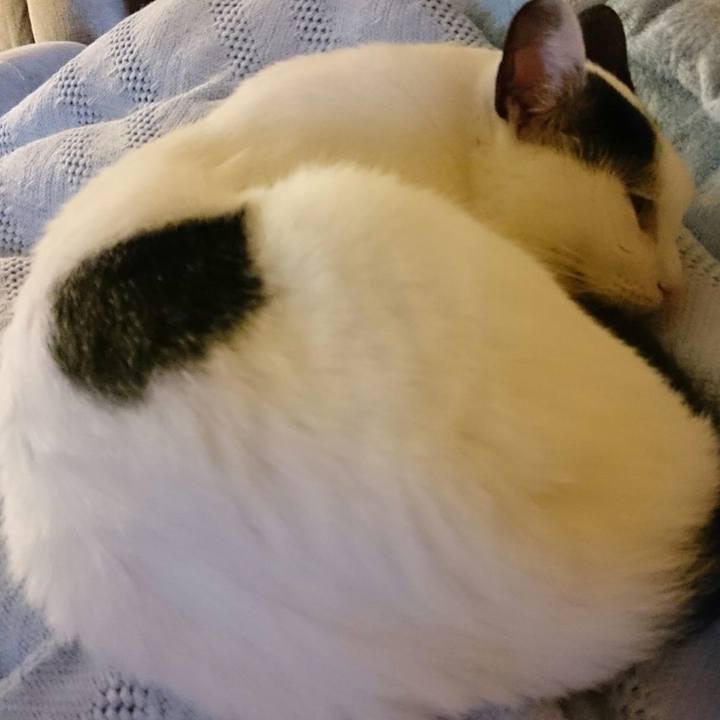 A1470ec1 8b08 44a3 8411 1c8acc3cac9c