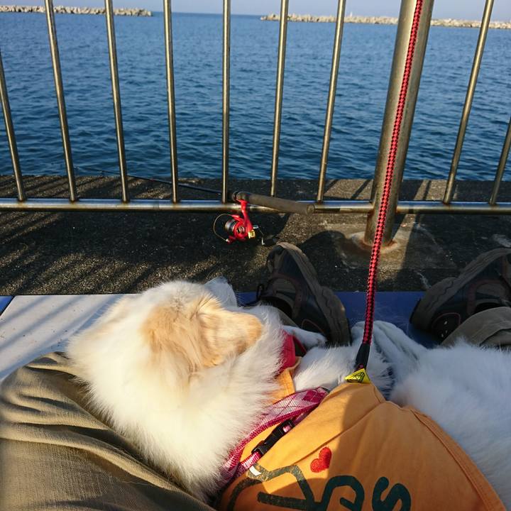 A1478170 85bd 4fdf 9234 e28530a4f500