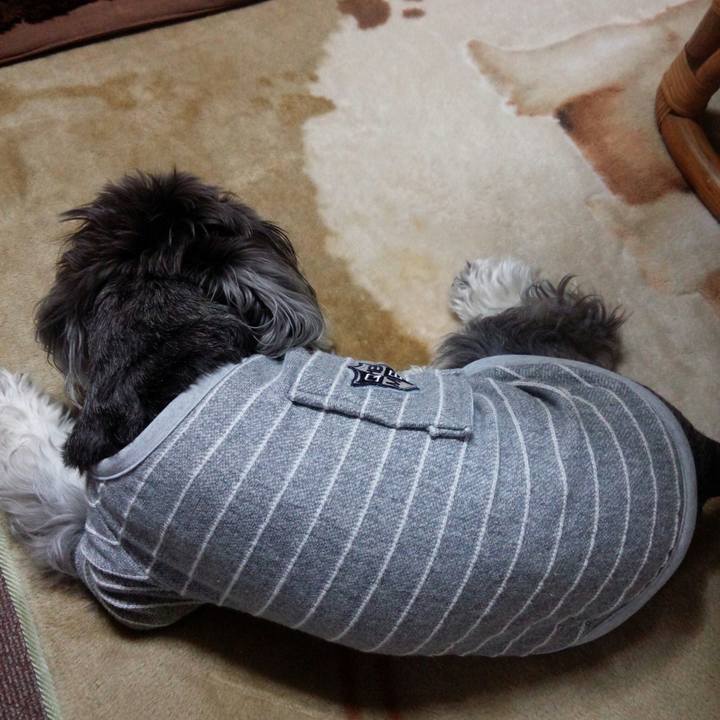 A14801c6 8c26 4bd9 93c3 e96a3965c82e