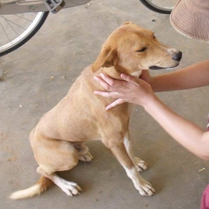 A1484bbc ffaf 4a03 ab81 d99150f55e3d