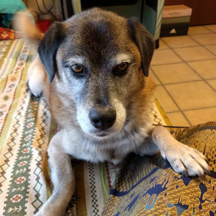 A14a115a 7557 4e65 a105 1d24ad1c8132