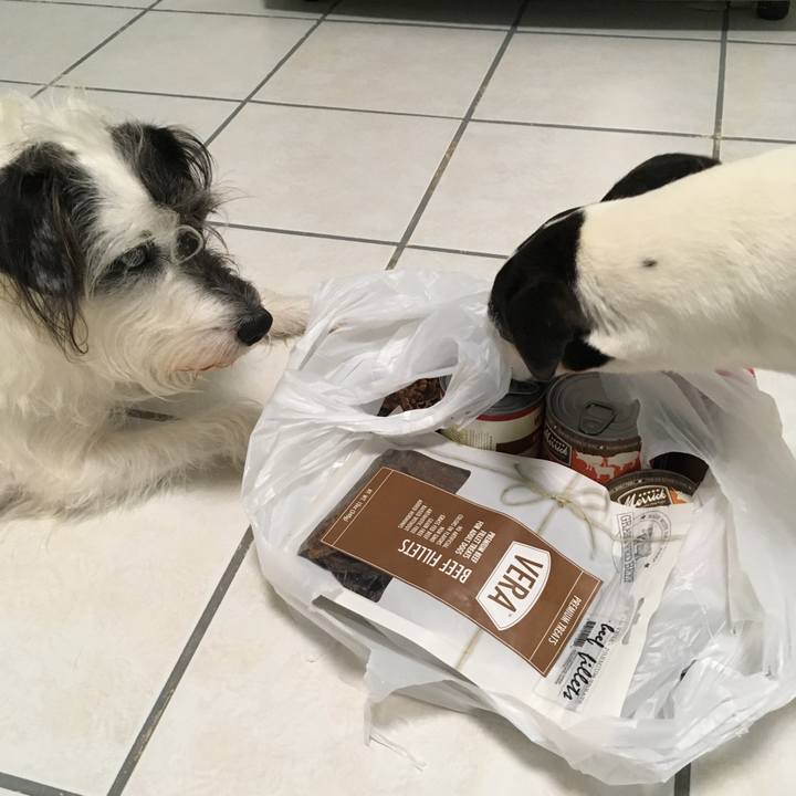 A14a9238 8f16 49ee b171 4632082bbe83