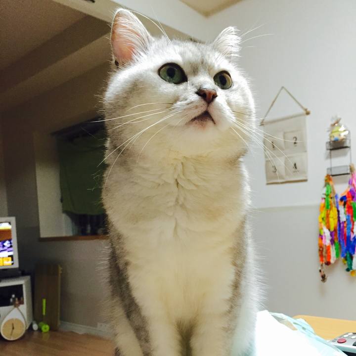 A14b9e23 27f6 4b51 a439 a7d8ae572e0d