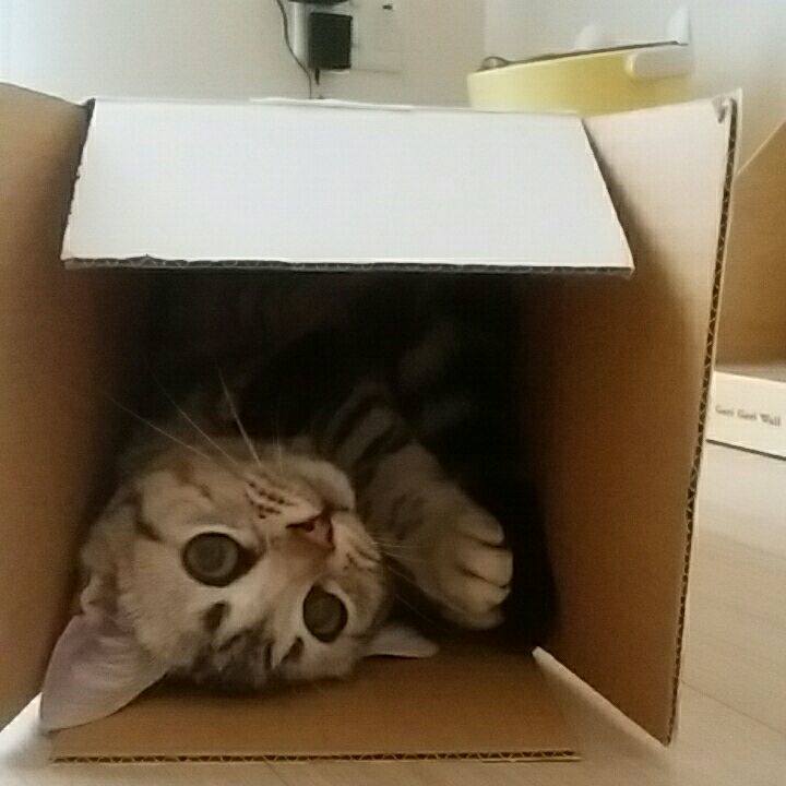 A14bd51a b34c 4eb5 9052 ba814272b276