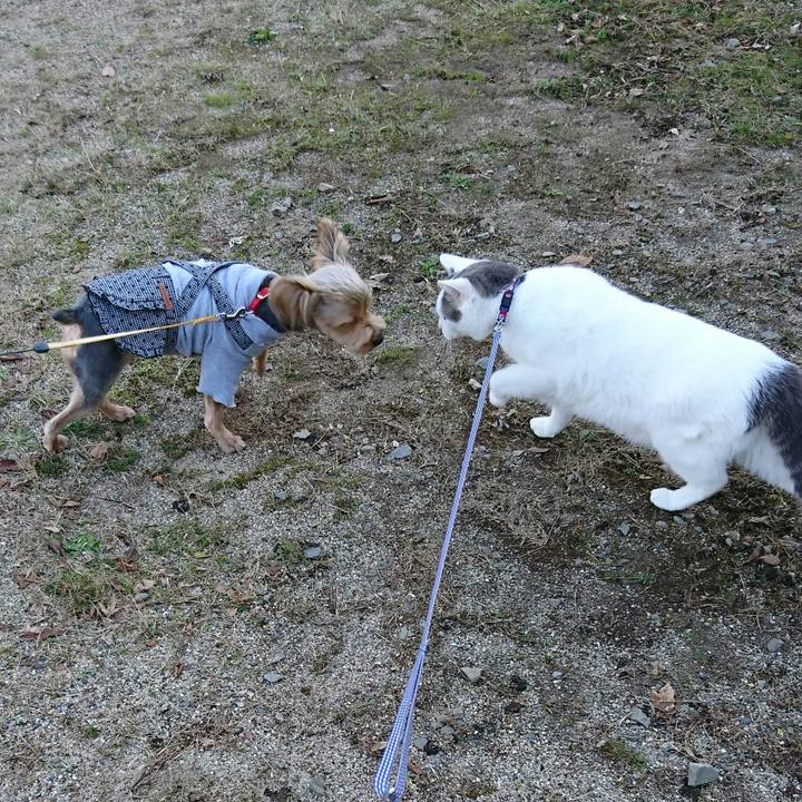 A14bfd79 712b 4283 b3ca 53c880275b3f