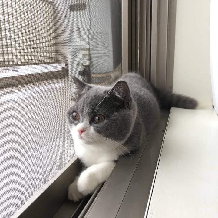 A14cc286 5b94 4f0e b69e 0b43b7cf83a1