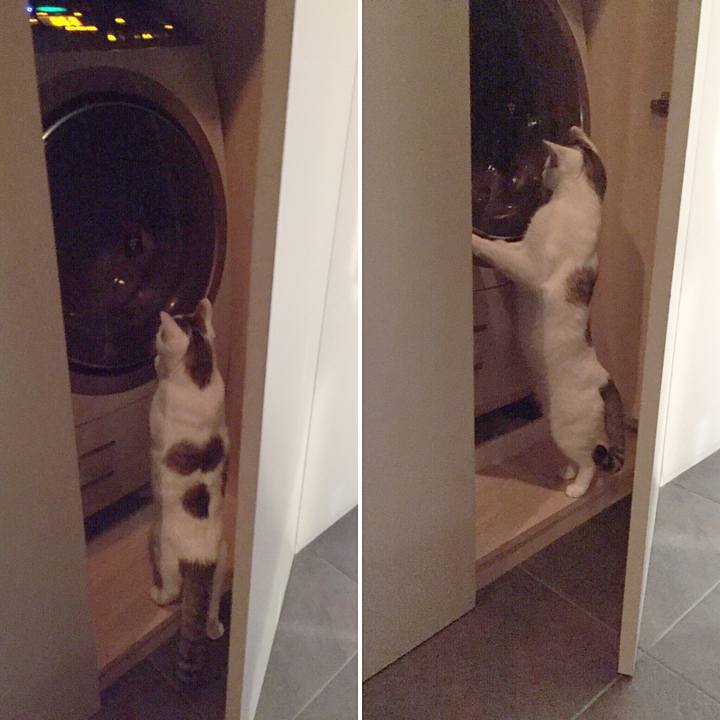 A14cd819 bebc 486c a0ef ca31fabf5e28