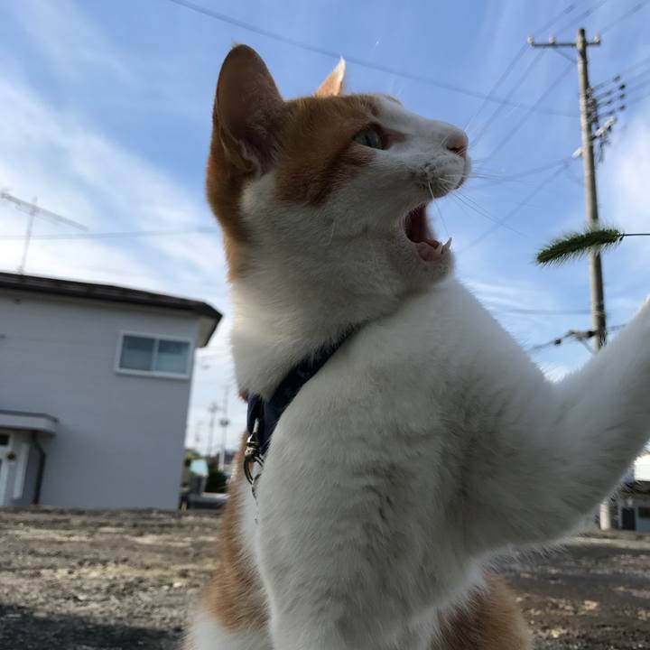 A14d2898 5e5d 4c8b 978e 71dcea1c6413