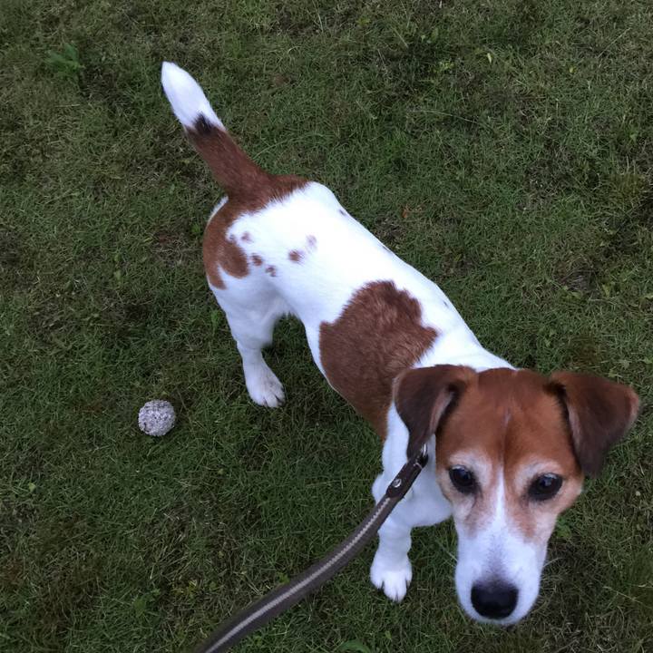 A14d5054 8f87 4a70 8709 0932610a1d6f