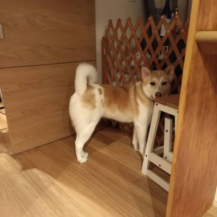 A14e10ee 6d66 4b5f 9166 426283222a75