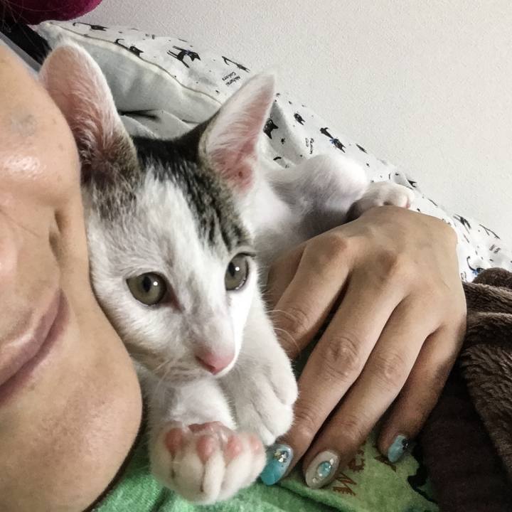 A14e3919 1f7f 4045 9982 76d3febd7160