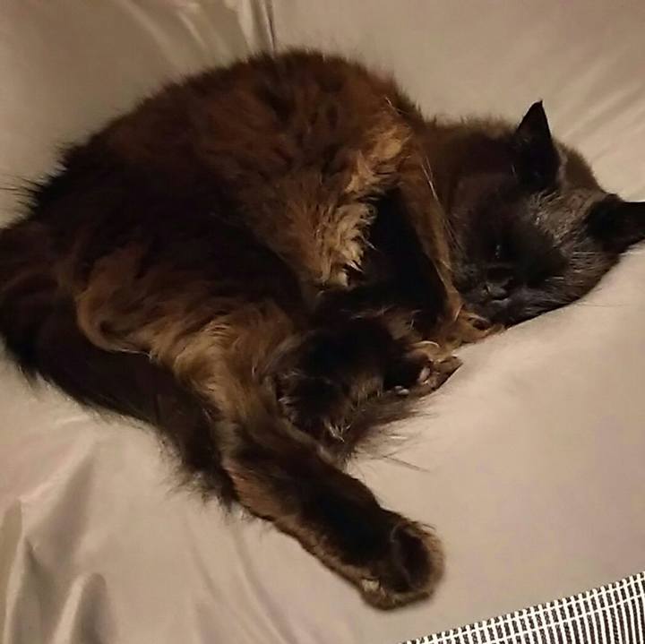 A14e61a5 0bbf 4530 b468 7b5441d428ad