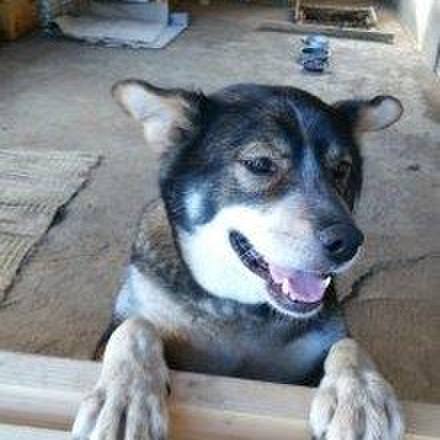 A14e9252 76a9 48ea 95a1 1d83ccfcbccc