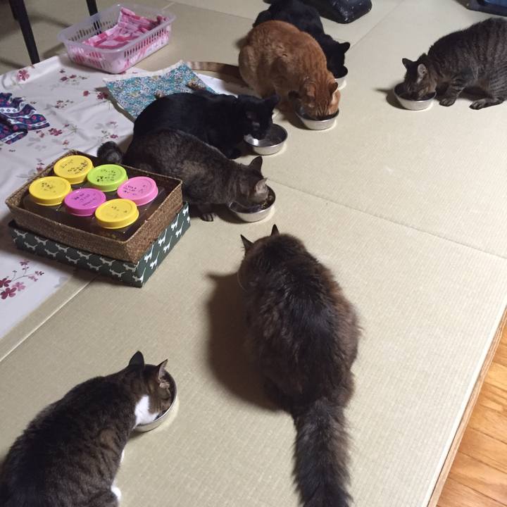 A14ec239 9d31 4dc7 a4f2 ed843f8ff635