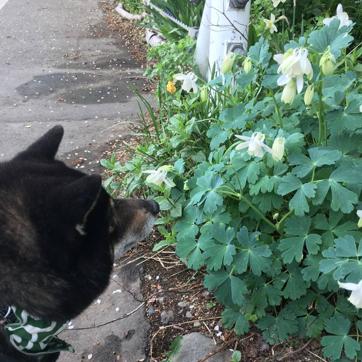 A14f44b5 ef09 4fff bf1a f39ab82f1a9f