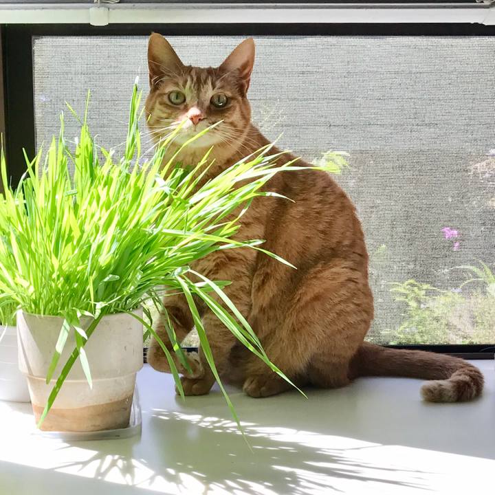 A14f801e fe61 4520 9772 e83ebc6e816a