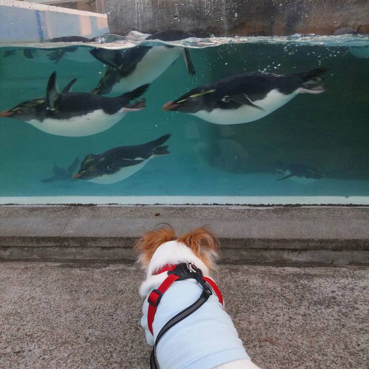 A14f8088 7e1a 4f9a bfb4 89b2e48d50b1