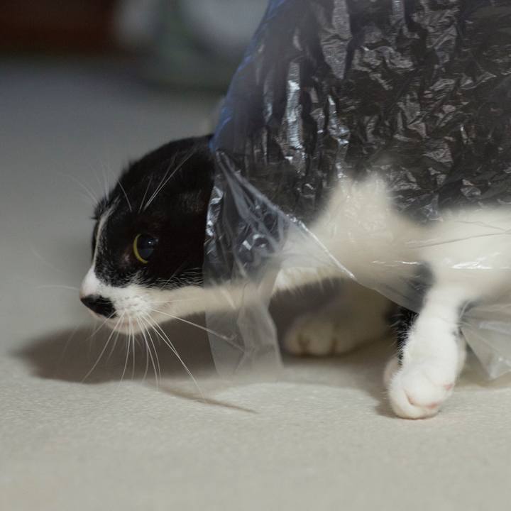 A1503289 88f5 483d 9ea4 8f0b12539aa3