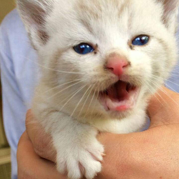 A150610f e26d 40f2 a4e8 5204f10e7bdf