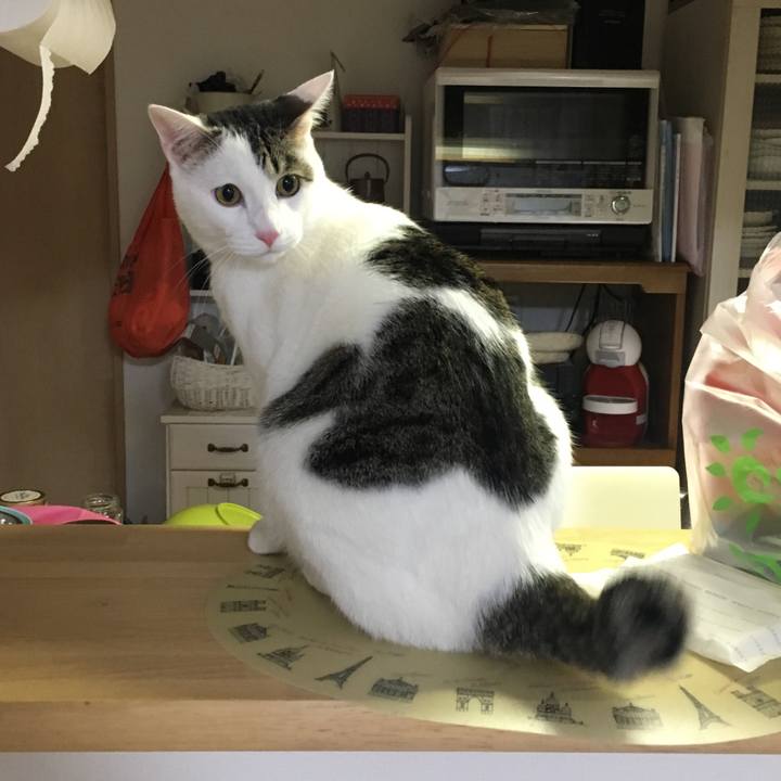 A1508d2d af21 45a1 99b2 5cb11df6cab5