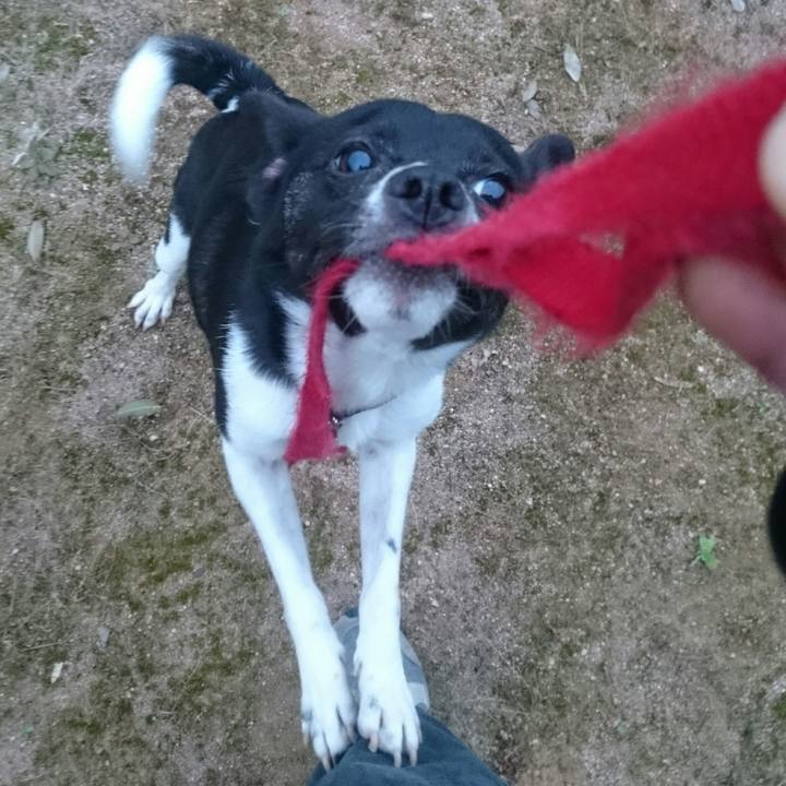 A1510507 fa25 4a21 a8df c56a9cd8b584