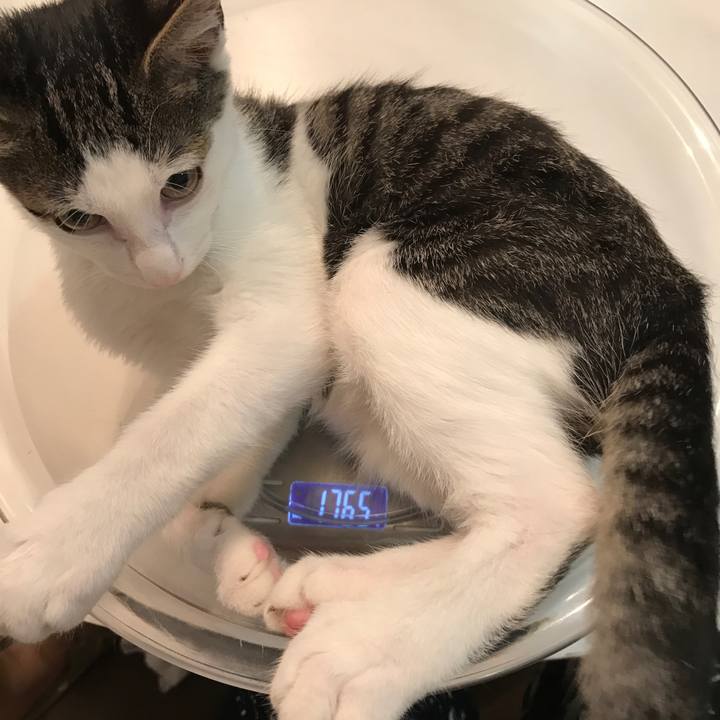 A15115c0 1ebc 4c0b bee5 283ff236be81