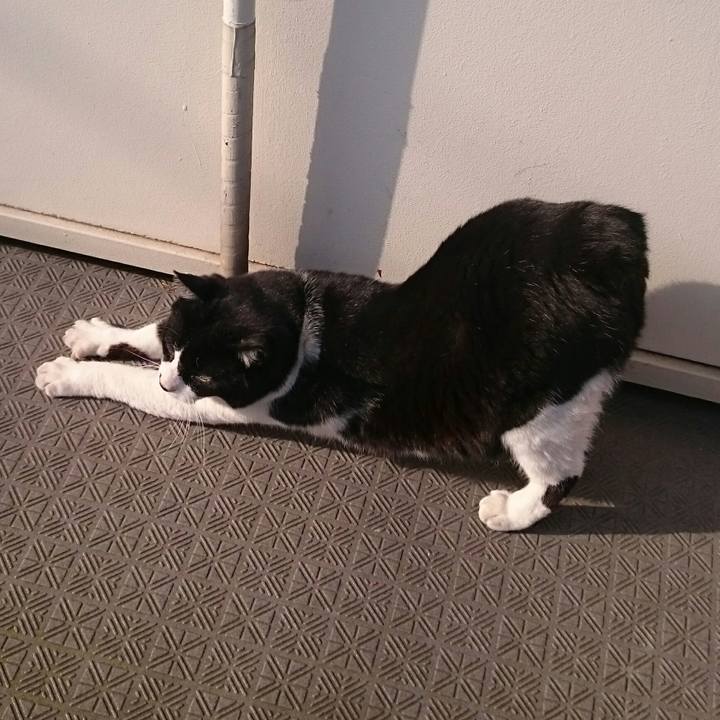 A151940a 364d 4e7f 8446 2d08ff08ce68