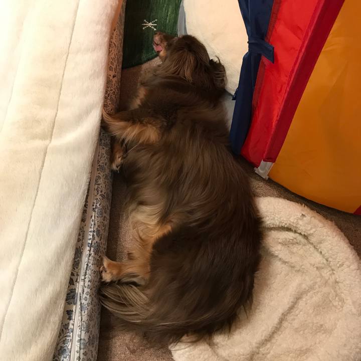 A1523456 151a 4472 9ea5 161b08938385