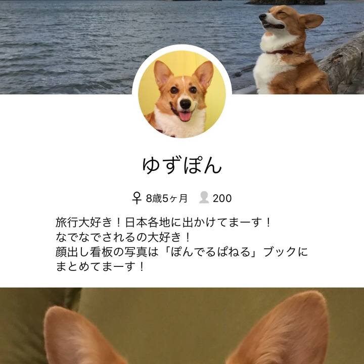A1525714 70cc 478d 97e3 9508b3c07d49