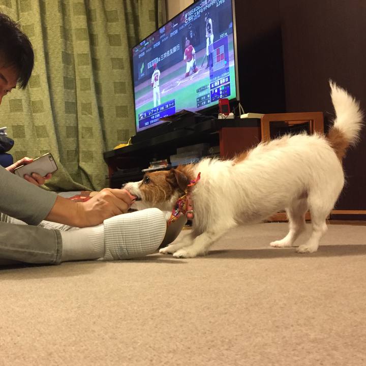 A1536ef7 ac8d 4455 9078 134fb6c62683