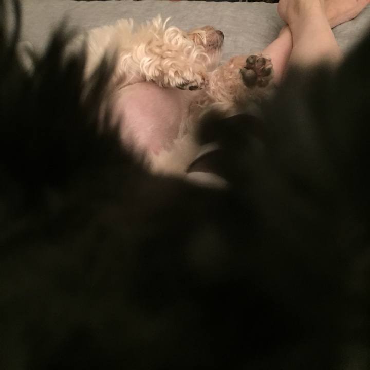 A153768b 3fc5 4a3f 9213 d04bacb677c3