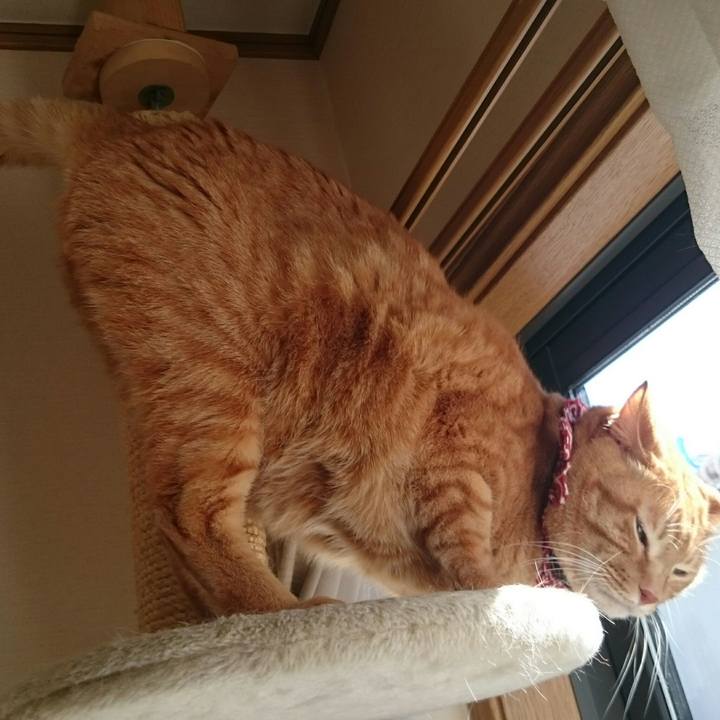 A154124e a185 44af b4b8 022e616601d8