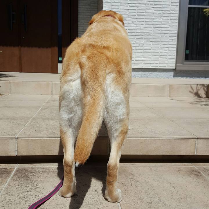 A1541e3b 6572 48f7 b004 d0414f3b3c68