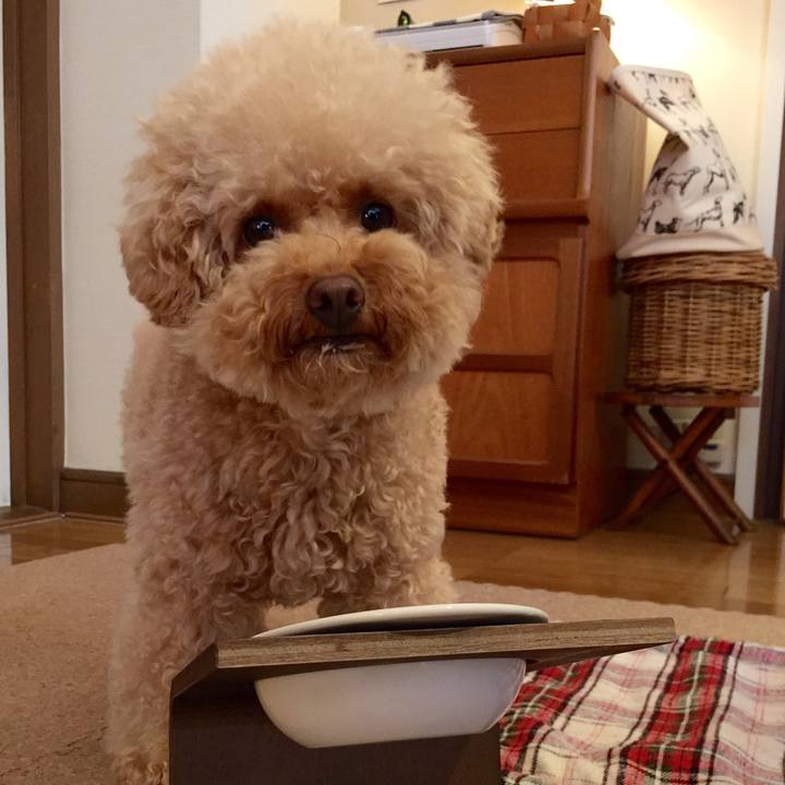 A15424c3 1e29 437b a603 eb302ba36f6d