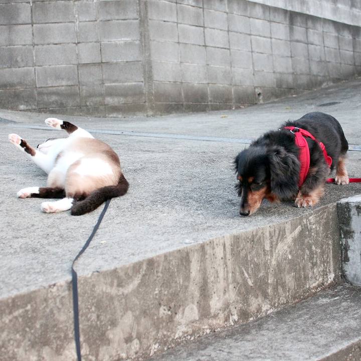 A1543c35 fbaa 4fbb 8e23 c33656679369