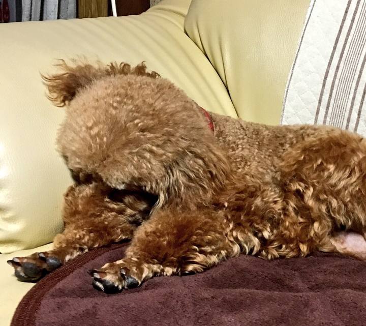 A154588c a016 4c83 978a 73c5dddc6d7a