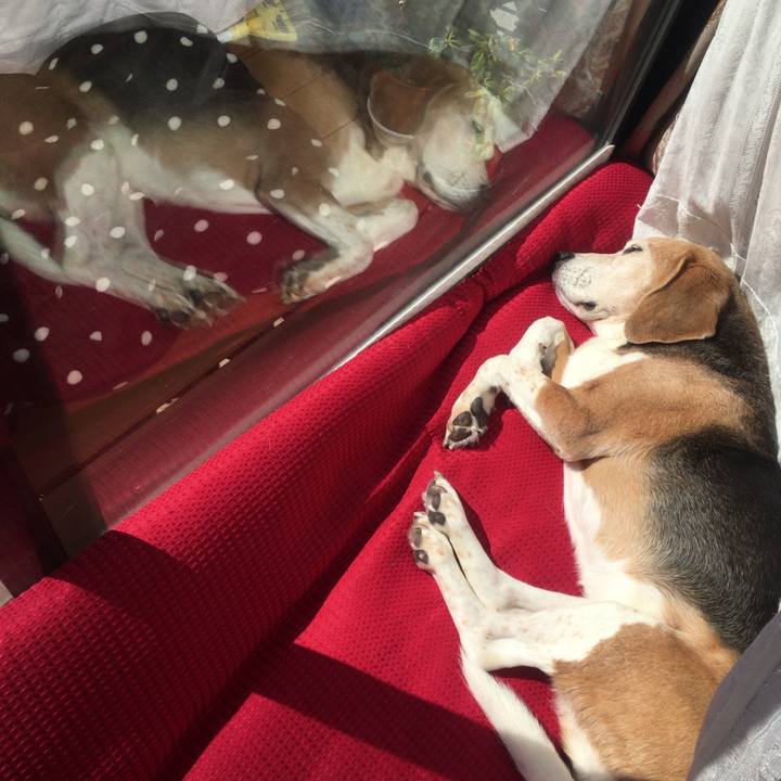 A154aaf5 83e4 43e5 9b88 d0337e670c03