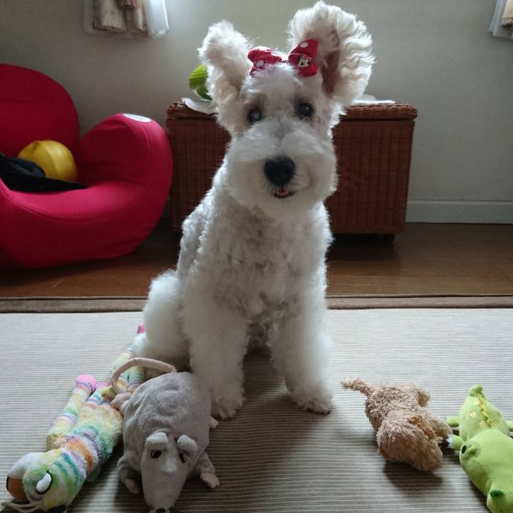 A15538a8 bf40 4db0 a9cc eb79ee8e39ba