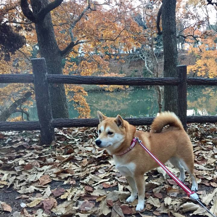 A155932c 074e 424e 813b df26fe8c0675