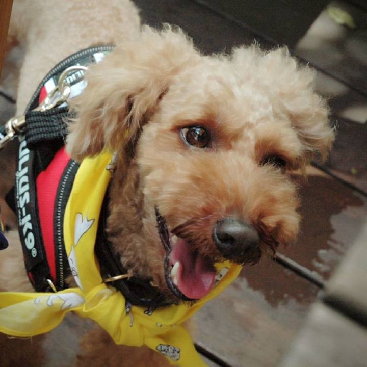 A155c3d4 813b 47af 95ec 26a3be310f65