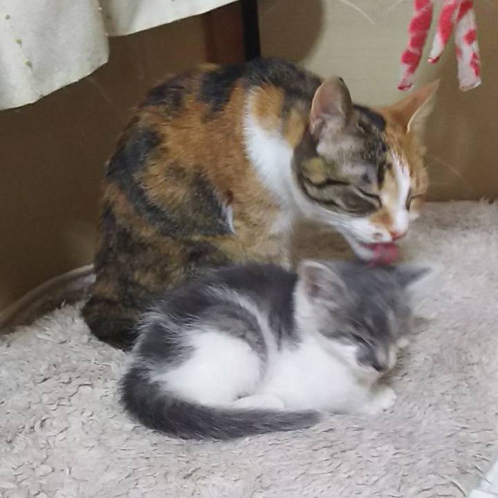 A155e49d 22c7 47d0 bebc 8488e9ed06a0