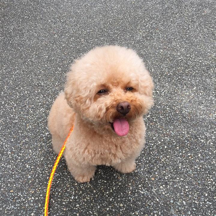 A156f0e5 fe75 466f 9624 9b9a76941e37