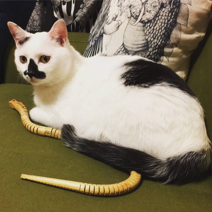 A1571460 89cf 41c5 83ce 4fb3eabdbbeb